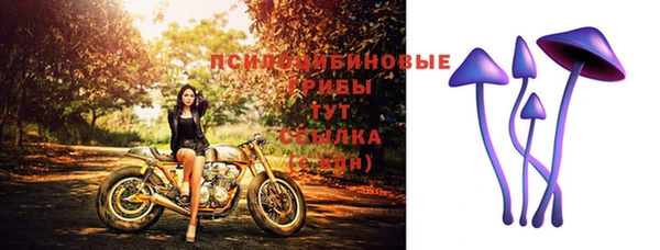 ECSTASY Белоозёрский
